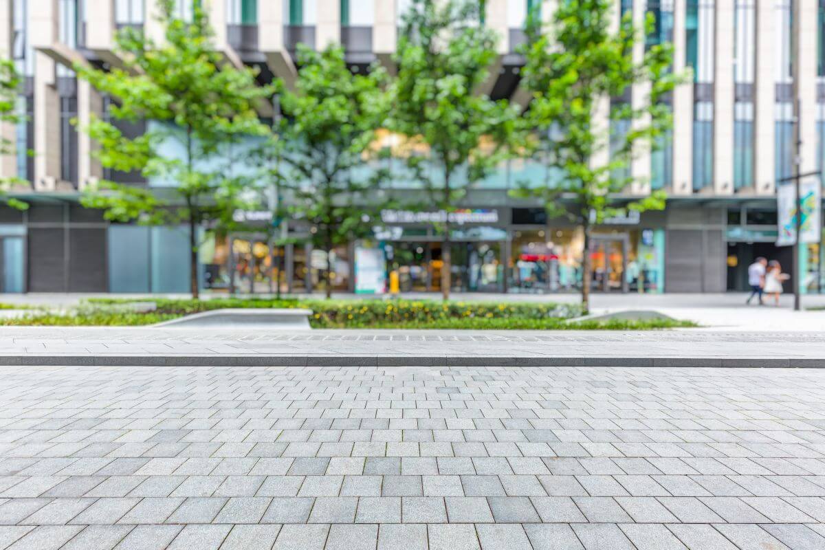 Picture of a green patch among paving.